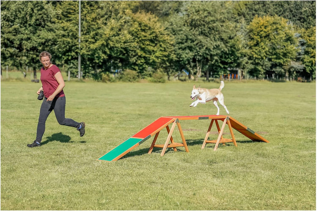 TRIXIE Hunde Agility Steg – Agility-Ausrüstung für Hunde als Laufsteg & Trainingsequipment, wetterfestes Agility-Gerät für Anfänger & Fortgeschrittene, 456 x 64 x 30 cm - 32090