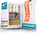 Stillstern Mini Gefrierschrank (42L) -18°C, Eiswürfelschale, Schloss, Türanschlag wechselbar, 4-Sterne Tiefkühlschrank für Camping/Büro Gefriertruhe Klein Gefrierschrank Klein Tiefkühltruhe