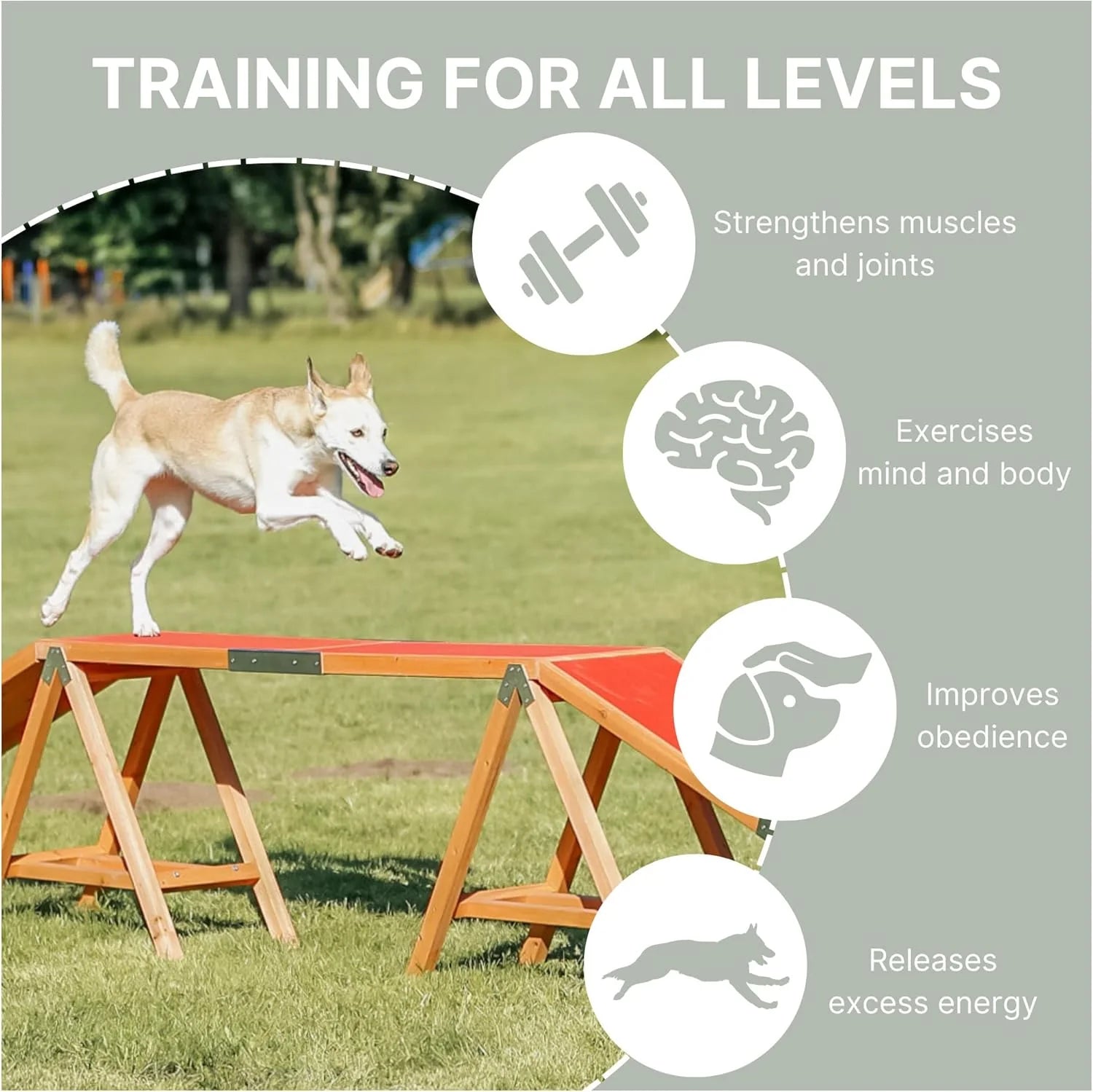 TRIXIE Hunde Agility Steg – Agility-Ausrüstung für Hunde als Laufsteg & Trainingsequipment, wetterfestes Agility-Gerät für Anfänger & Fortgeschrittene, 456 x 64 x 30 cm - 32090