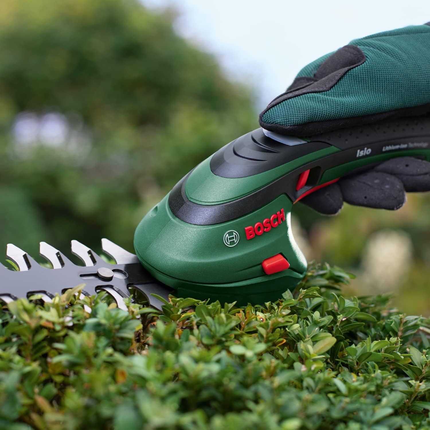Bosch Akku Grasscheren Set Isio (3,6 Volt, Messerlnge 12 cm, Messerabstand 8 mm, mit XL-Gartenhandschuhen inklusive, in Softcase) – Amazon Edition