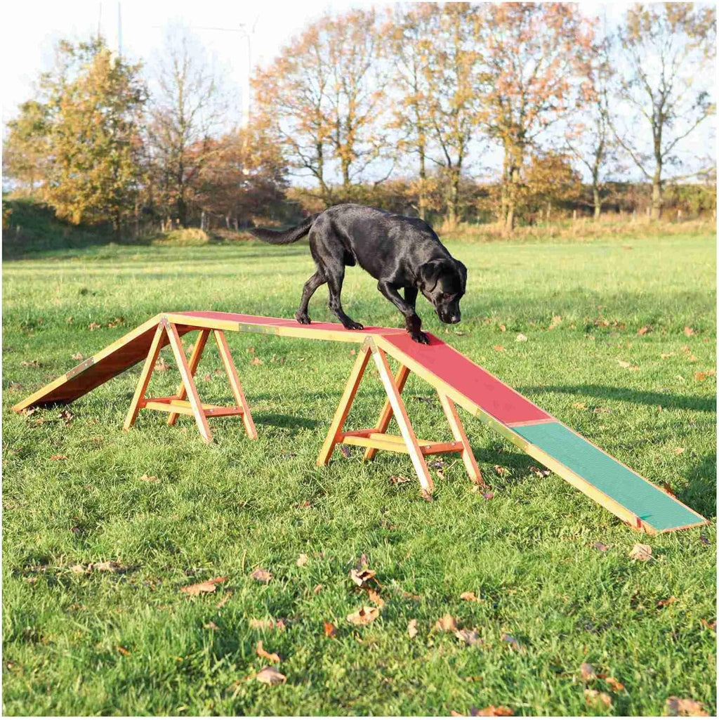 TRIXIE Hunde Agility Steg – Agility-Ausrüstung für Hunde als Laufsteg & Trainingsequipment, wetterfestes Agility-Gerät für Anfänger & Fortgeschrittene, 456 x 64 x 30 cm - 32090