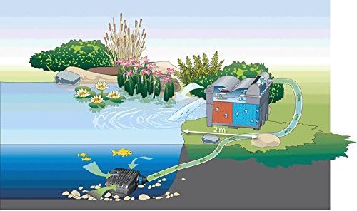 OASE 56789 Durchlauffilter BioSmart Set 36000 geeignet für Teiche bis 36 m³, Filtersystem, Filterkomplettset inkl Filtermaterial, Teichpumpe und UVC Klärer