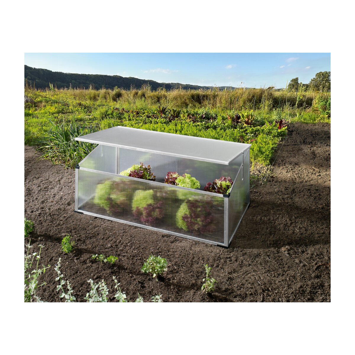 PARKSIDE® Garten-Frühbeet, mit Aluminiumrahmen - B-Ware Transportschaden Kosmetisch
